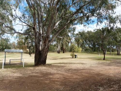 Narrabri Big Sky Caravan Park ภายนอก รูปภาพ